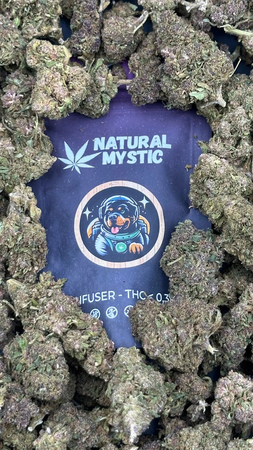 Fleur ISS NZT Produit