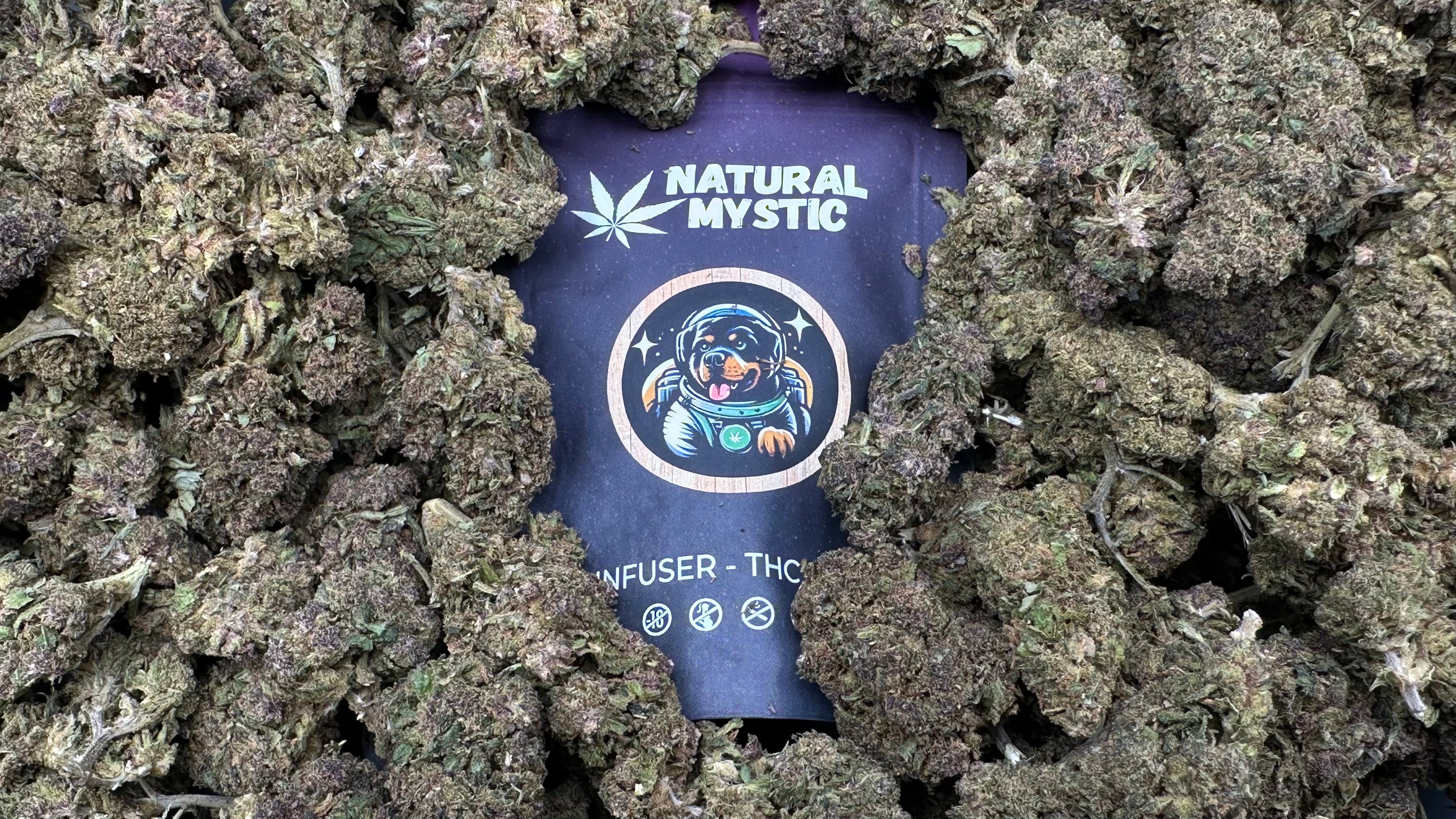 ISS NZT CBD