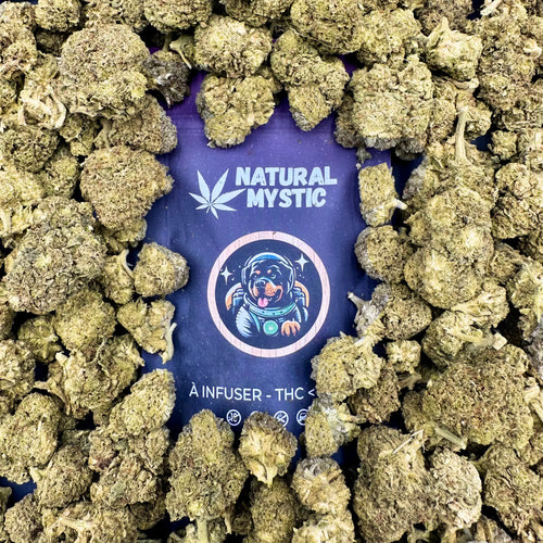 NZT CBD Amnesia